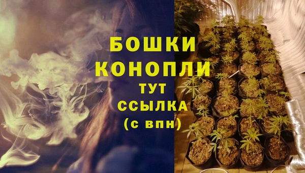 PSILOCYBIN Армянск