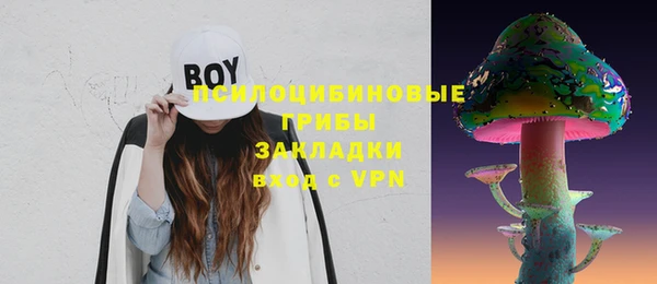 PSILOCYBIN Армянск