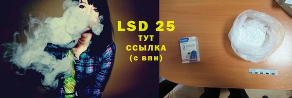 стафф Аркадак
