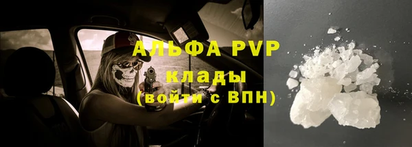 стафф Аркадак