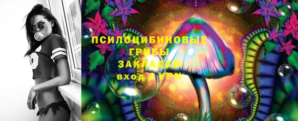 стафф Аркадак