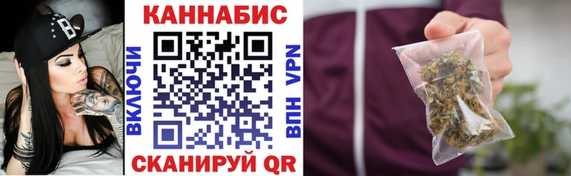Каннабис сатива  закладка  Гуково 